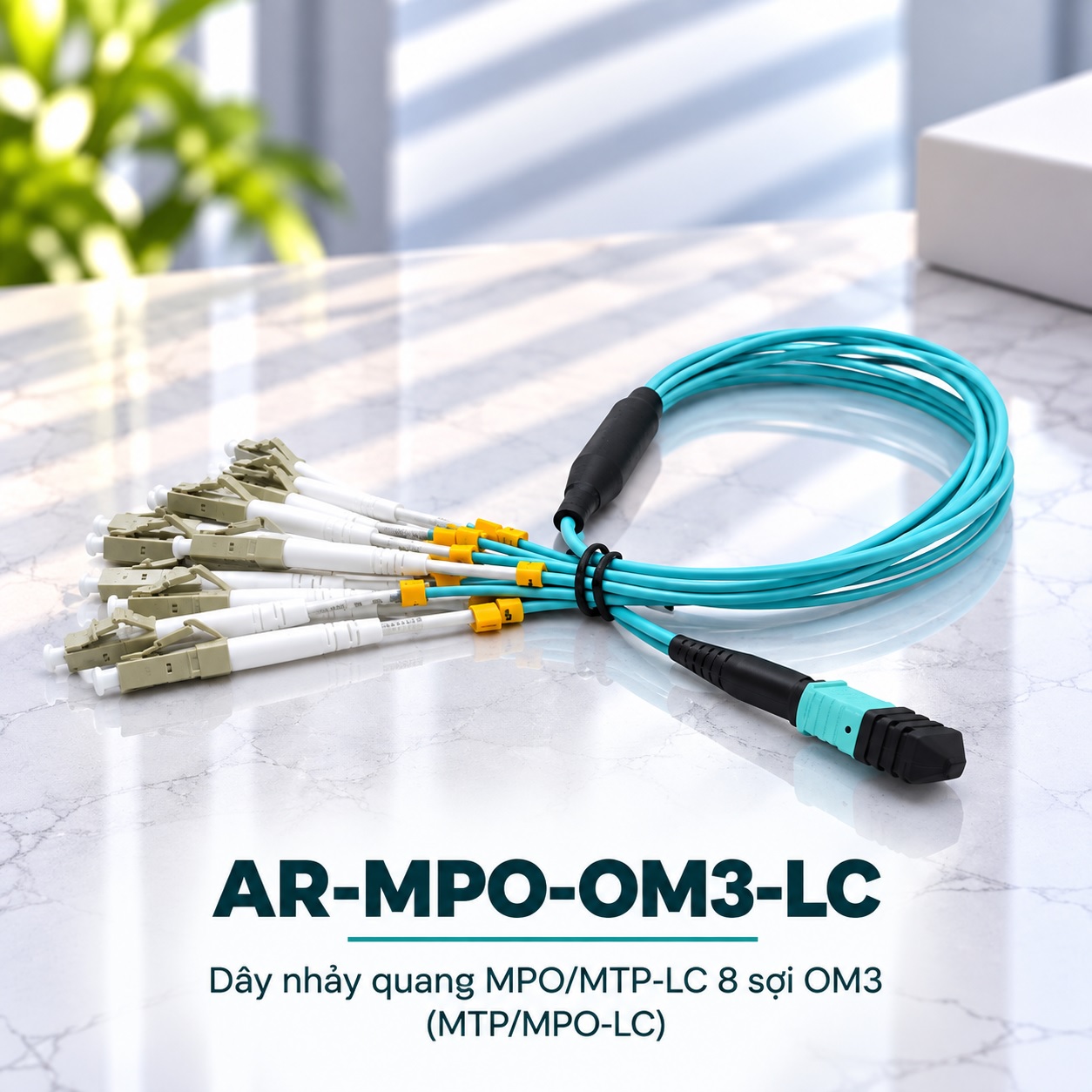 AR-MPO-OM3-LC: Dây nhảy quang MPO/MTP-LC 8 sợi OM3 (MTP/MPO-LC)